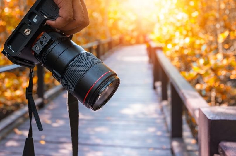 best camera for photography